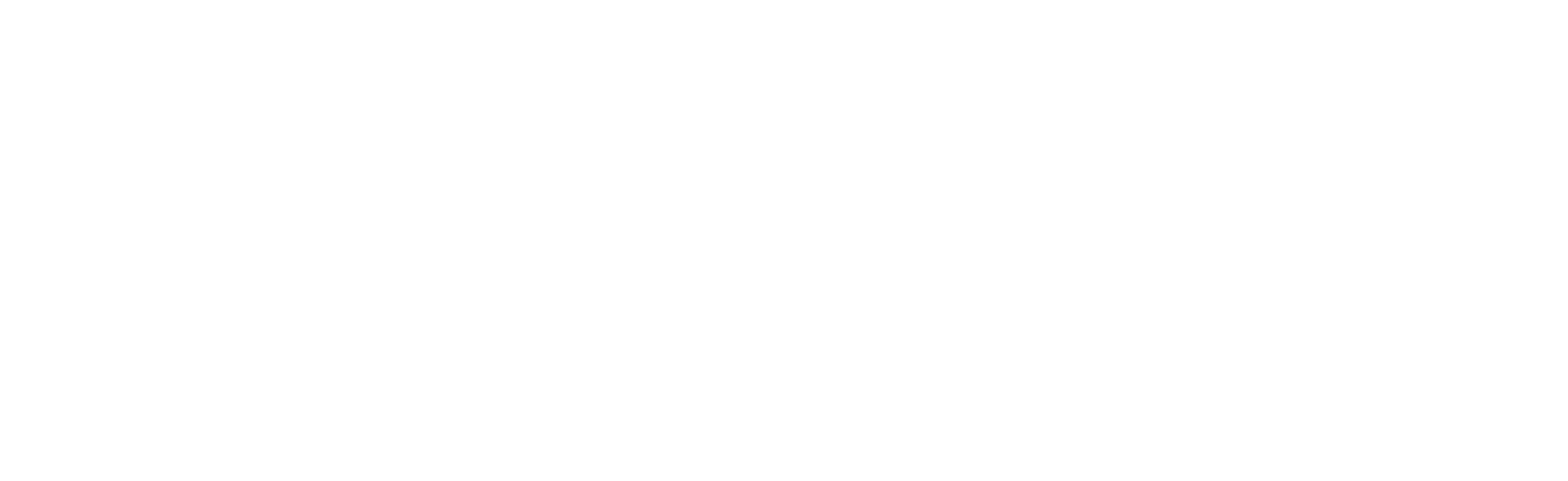 Capse Investimentos